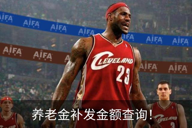 养老金补发金额查询！